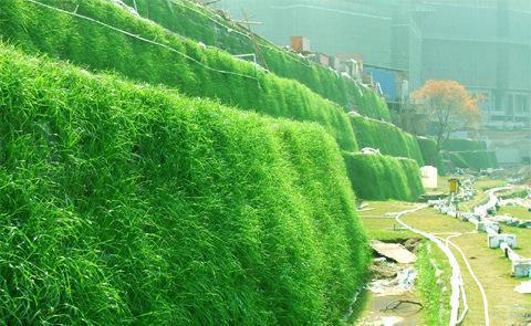 植生袋建植边坡草坪